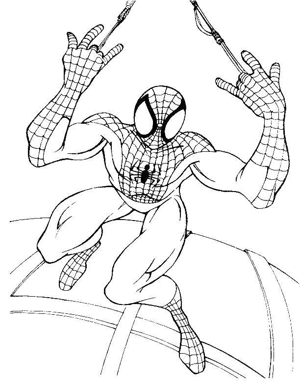 Название: Раскраска Человек паук на паутине. Категория: человек паук. Теги: Комиксы, Спайдермэн, Человек Паук.
