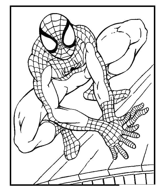 Название: Раскраска Человек паук наблюдает за городом. Категория: человек паук. Теги: Комиксы, Спайдермэн, Человек Паук.