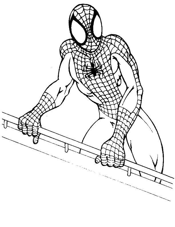 Название: Раскраска Человек паук. Категория: человек паук. Теги: Комиксы, Спайдермэн, Человек Паук.