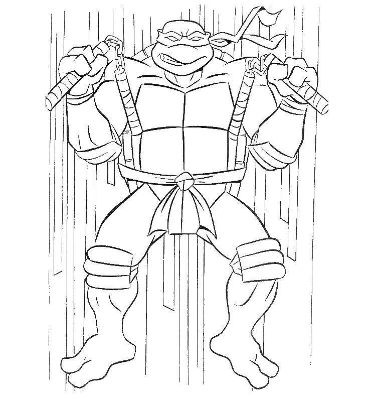 Coloring Ninja turtle. Category teenage mutant ninja turtles. Tags:  Comics, Teenage Mutant Ninja Turtles.