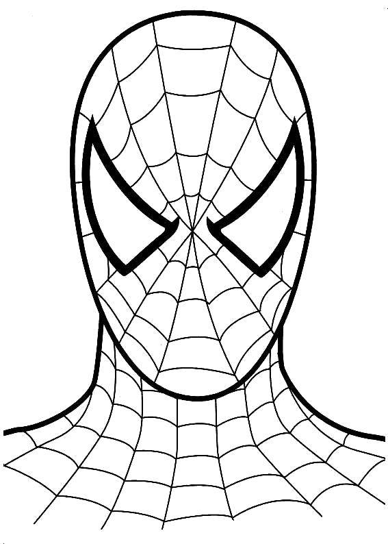 Название: Раскраска Спайдер мэн, человек паук. Категория: человек паук. Теги: Комиксы, Спайдермэн, Человек Паук.