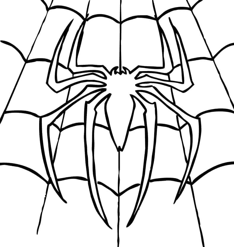 Coloring Spider man, spider man. Category spider man. Tags:  Comics, Spider-Man, Spider-Man.