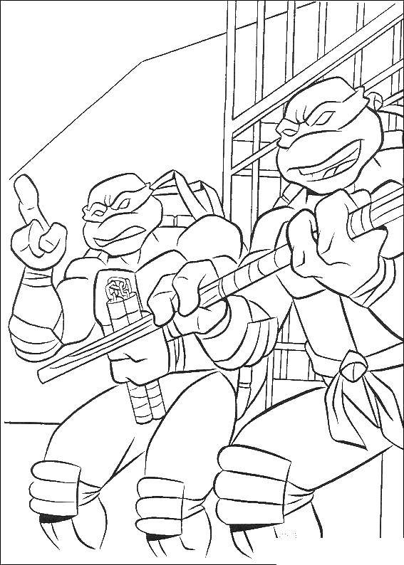 Coloring Teenage mutant ninja turtles Donatello and Michelangelo. Category teenage mutant ninja turtles. Tags:  teenage mutant ninja turtles, Michelangelo, Donnie.