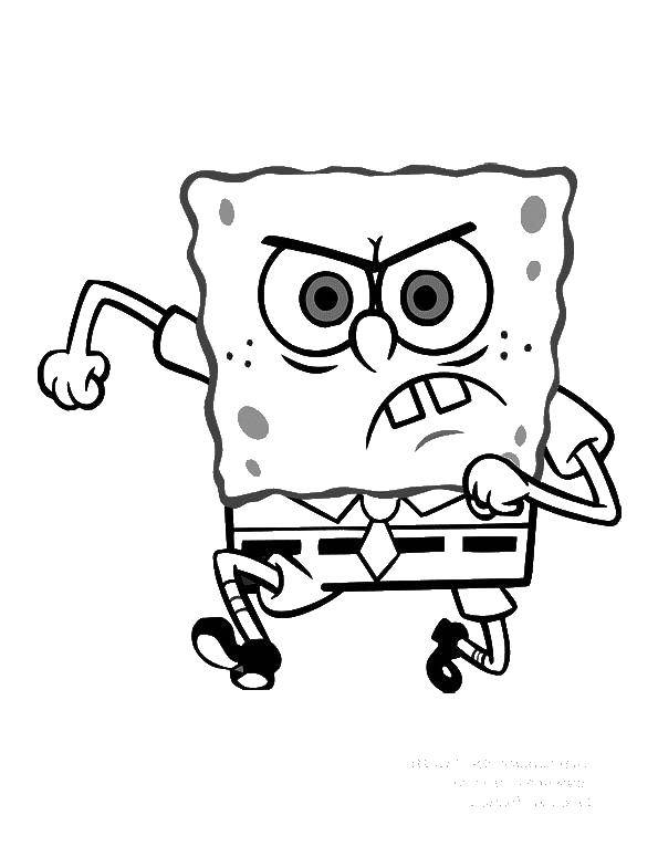 Coloring Spongebob. Category spongebob. Tags:  spongebob.