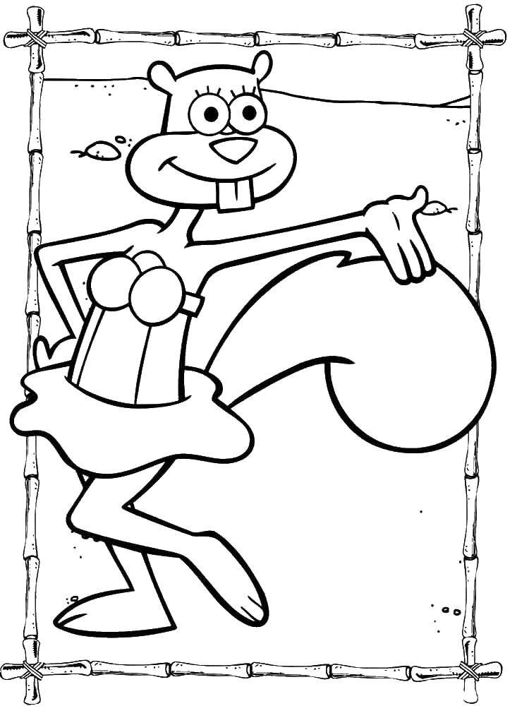 Coloring Squirrel sandy. Category Cartoon character. Tags:  the spongebob, the squirrel sandy.