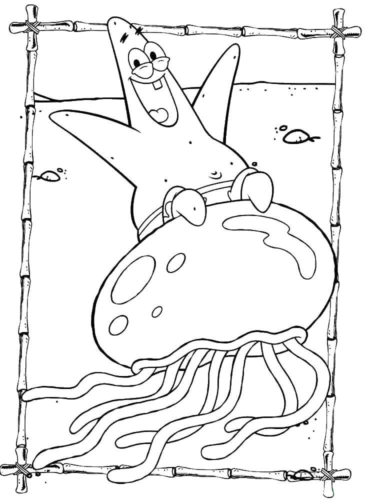 Coloring Patrick is riding on a jellyfish. Category spongebob. Tags:  spongebob, Patrick.