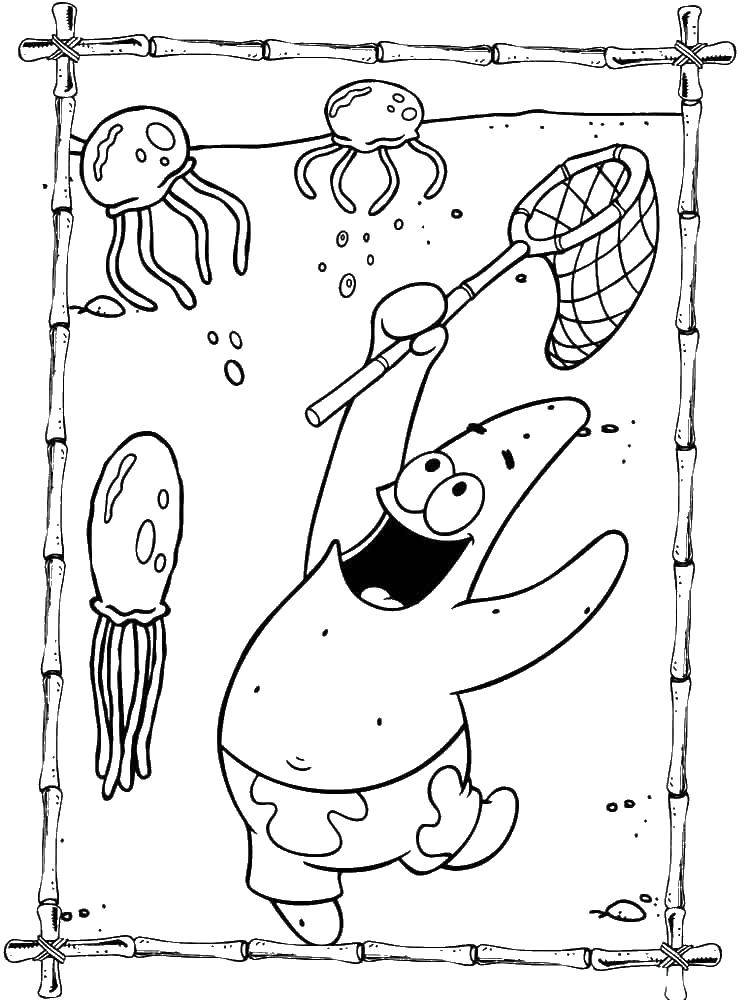 Coloring Patrick catching jellyfish. Category spongebob. Tags:  spongebob, Patrick.