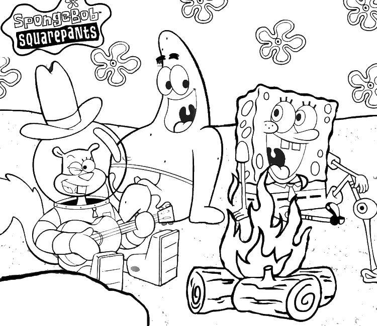 Coloring Spongebob and Patrick go with sandy on a picnic. Category spongebob. Tags:  the spongebob, Patrick.