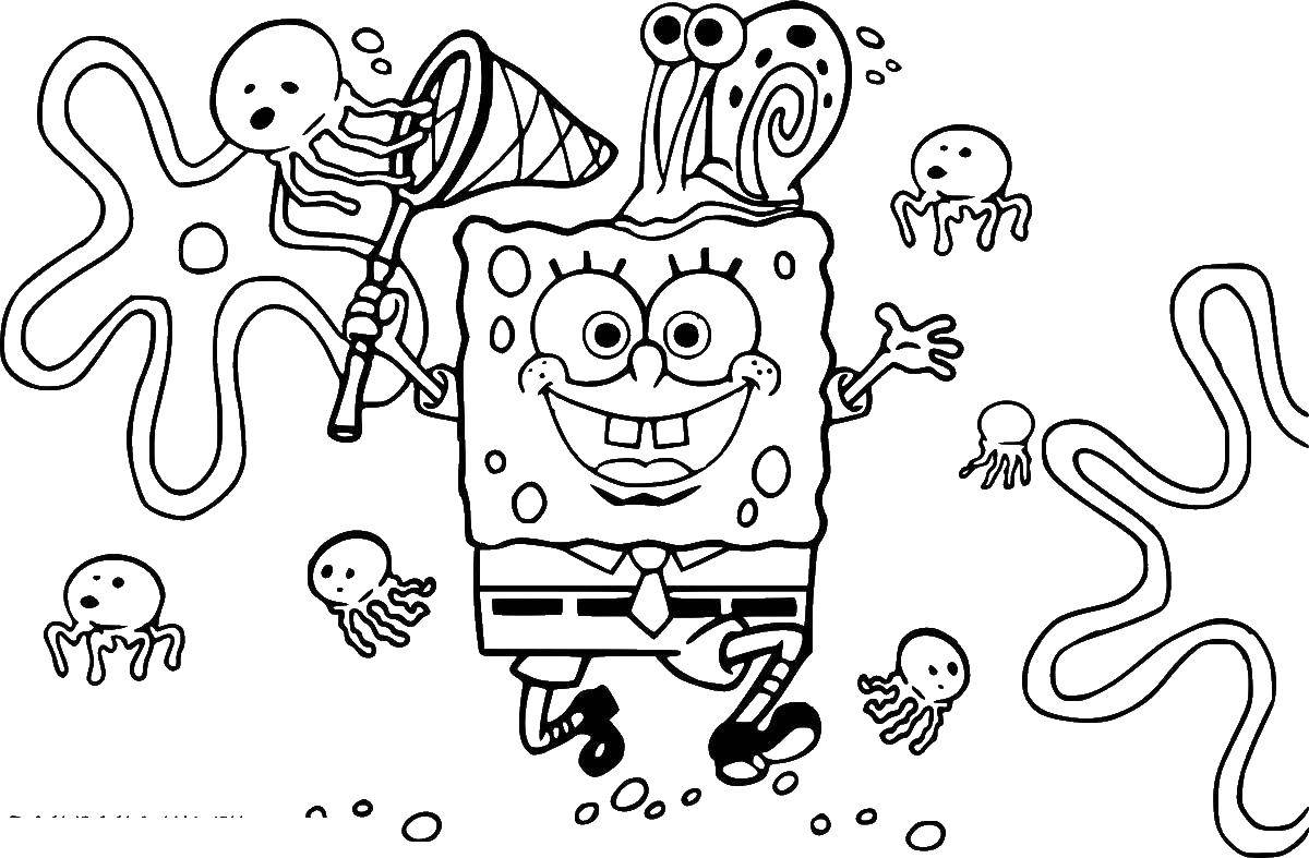 Coloring Spongebob catches jellyfish. Category spongebob. Tags:  the spongebob, Patrick.