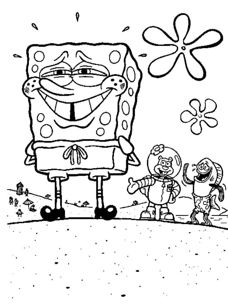Coloring Spongebob confused. Category Cartoon character. Tags:  the spongebob, the squirrel sandy.
