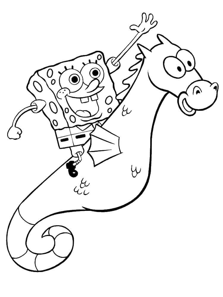 Coloring Spongebob. Category Cartoon character. Tags:  spongebob.