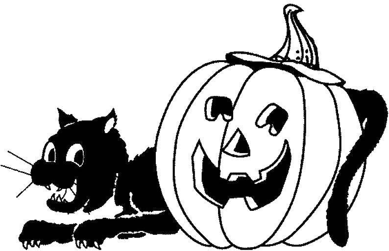 Название: Раскраска Черная кошка на тыкве. Категория: тыква на хэллоуин. Теги: Хэллоуин, тыква.