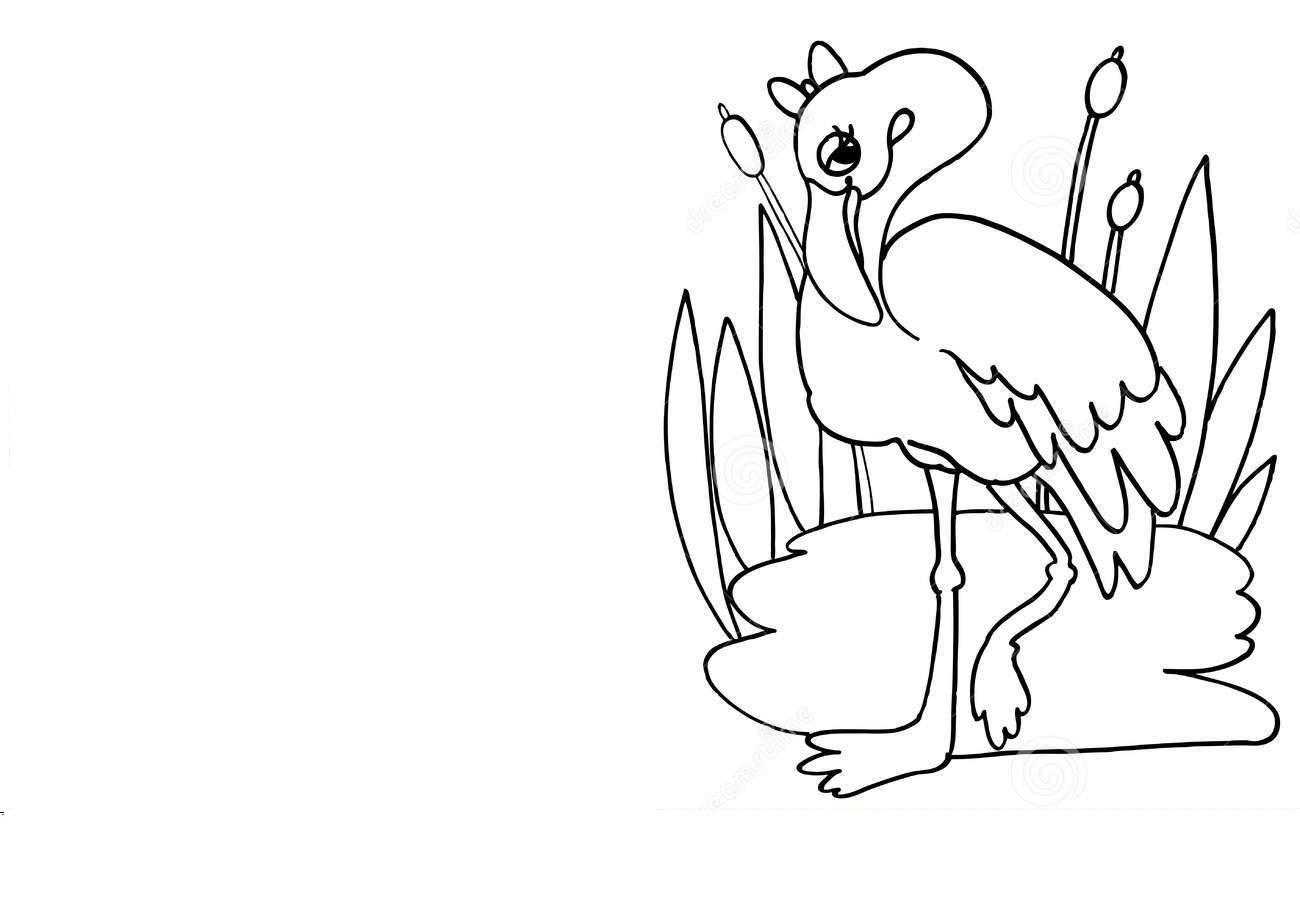 Название: Раскраска Фламинго в зарослях камыша. Категория: Контуры для вырезания птиц. Теги: фламинго, камыш.