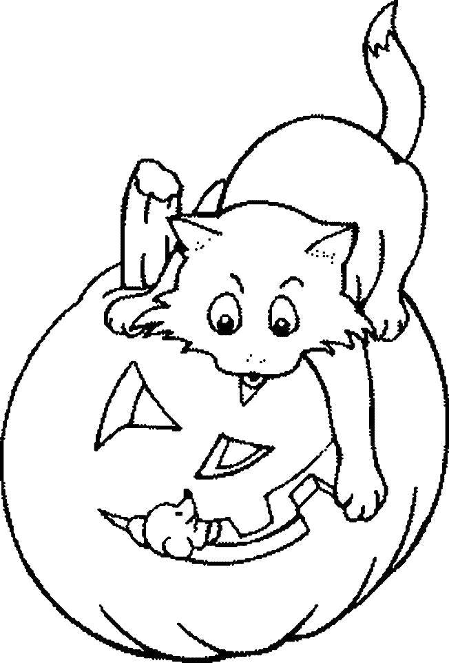 Название: Раскраска Кошка ловит мышку в тыкве. Категория: тыква на хэллоуин. Теги: Хэллоуин, тыква.