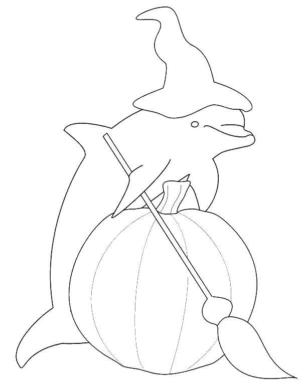 Coloring Dolphin and pumpkin. Category pumpkin Halloween. Tags:  pumpkin, Halloween.