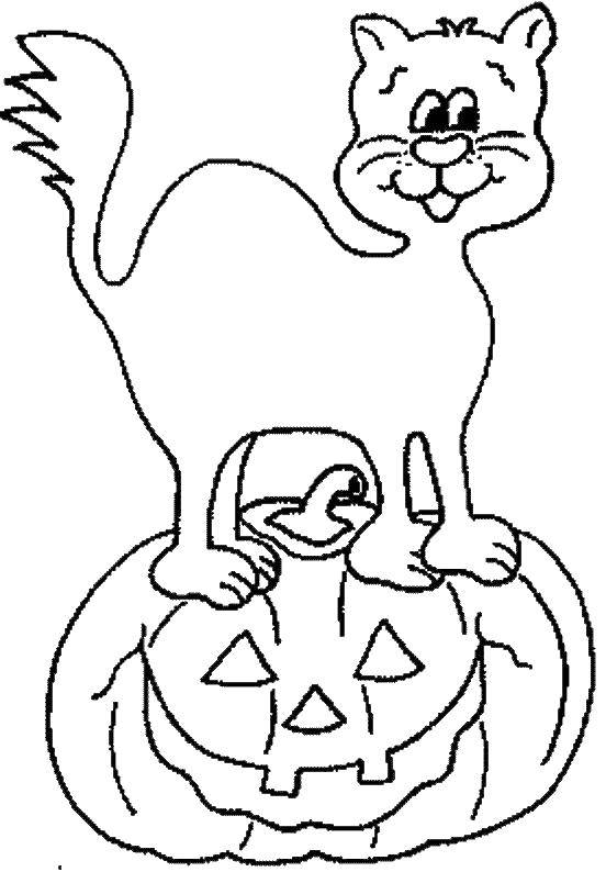 Название: Раскраска Кот на тыкве. Категория: тыква на хэллоуин. Теги: Хэллоуин, тыква.