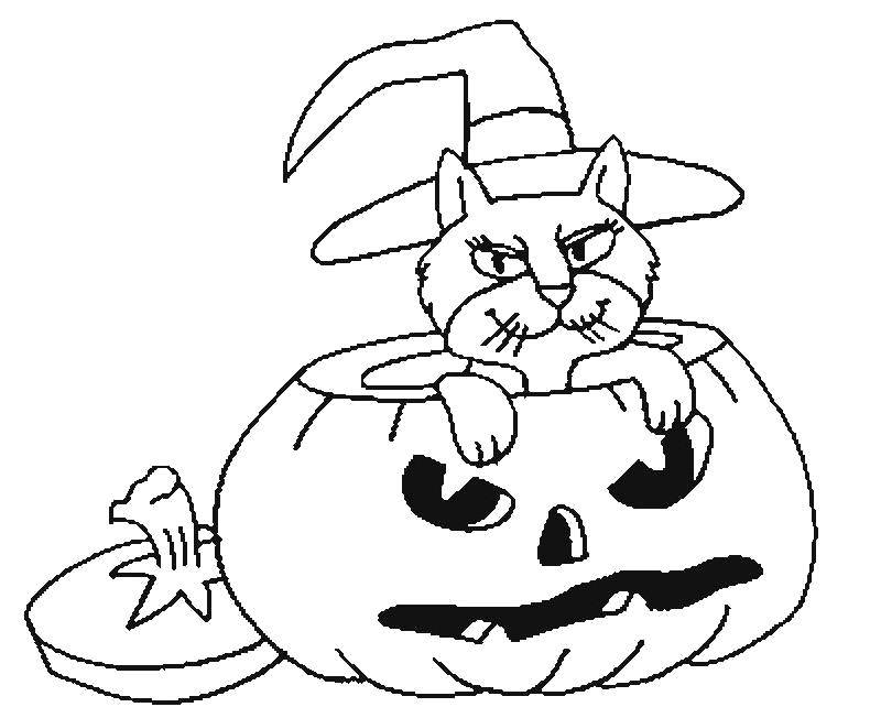 Название: Раскраска Кот в шляпе ведьмы. Категория: тыква на хэллоуин. Теги: Хэллоуин, тыква.