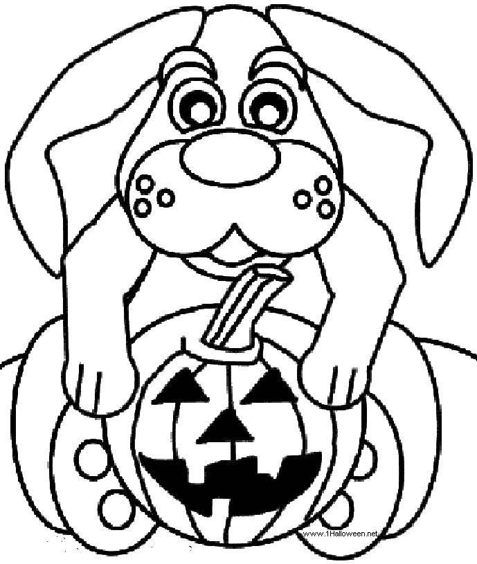 Название: Раскраска Собака держит тыкву. Категория: тыква на хэллоуин. Теги: тыква, хэллоуин.
