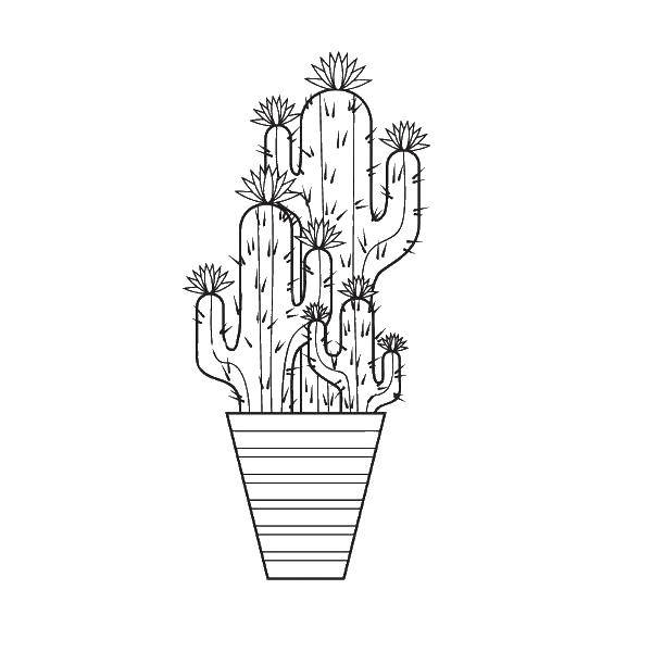 Coloring Large cactus. Category cactus. Tags:  Flowers, cactus.