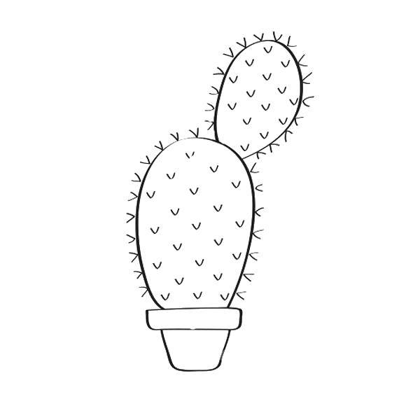 Coloring Cactus. Category cactus. Tags:  Flowers, cactus.