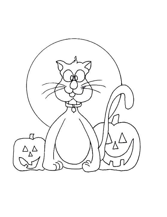 Название: Раскраска Кошка и тыквы. Категория: тыква на хэллоуин. Теги: тыква, хэллоуин.