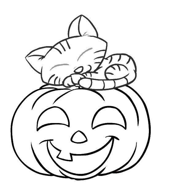 Coloring The cat sleeps on the pumpkin. Category pumpkin Halloween. Tags:  pumpkin, Halloween.