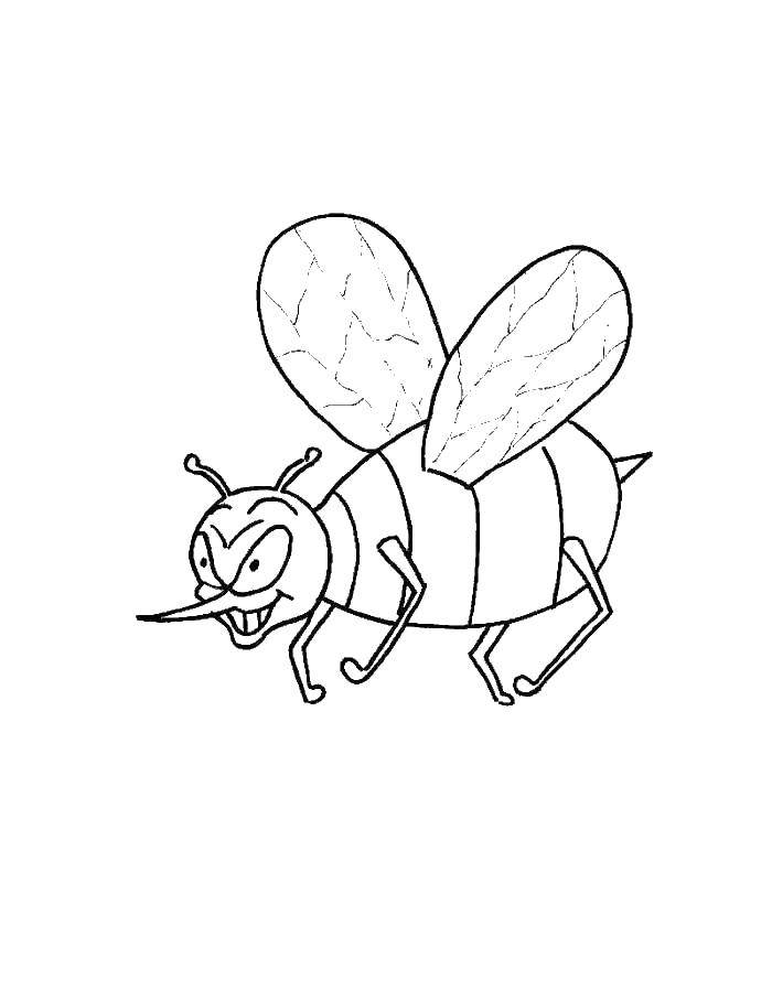 Coloring Bee. Category Animals. Tags:  bee.