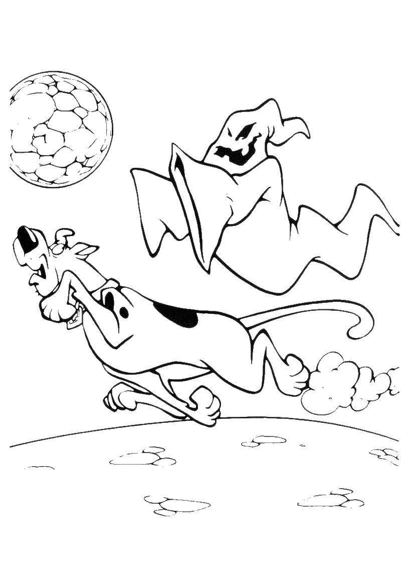 Coloring Scooby Doo running from a Ghost. Category Cartoon character. Tags:  Cartoon character, Scooby Doo.