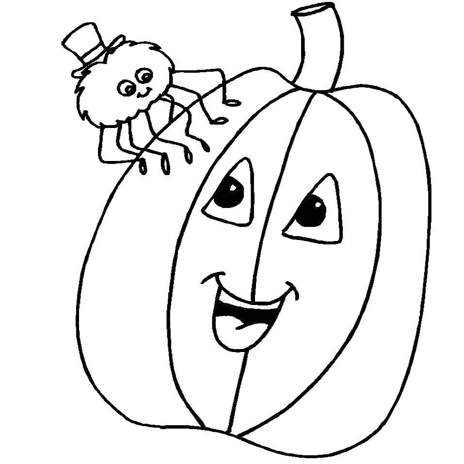 Coloring Pumpkin and spider. Category pumpkin Halloween. Tags:  pumpkin, Halloween.