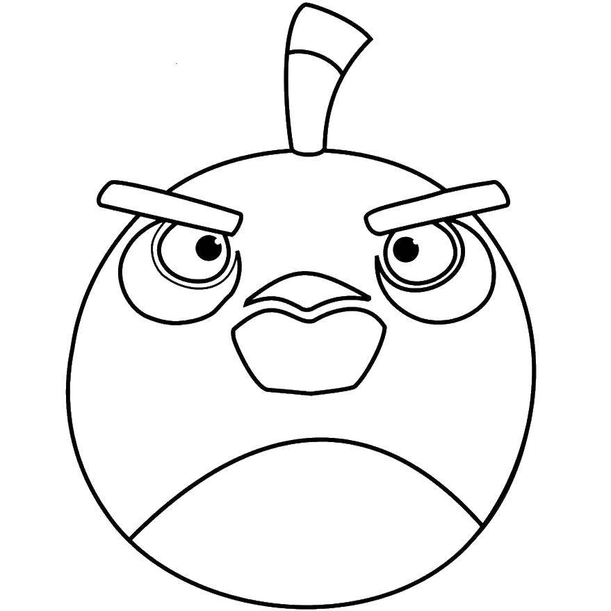 Coloring Bird from angry birds . Category games. Tags:  Games, Angry Birds .