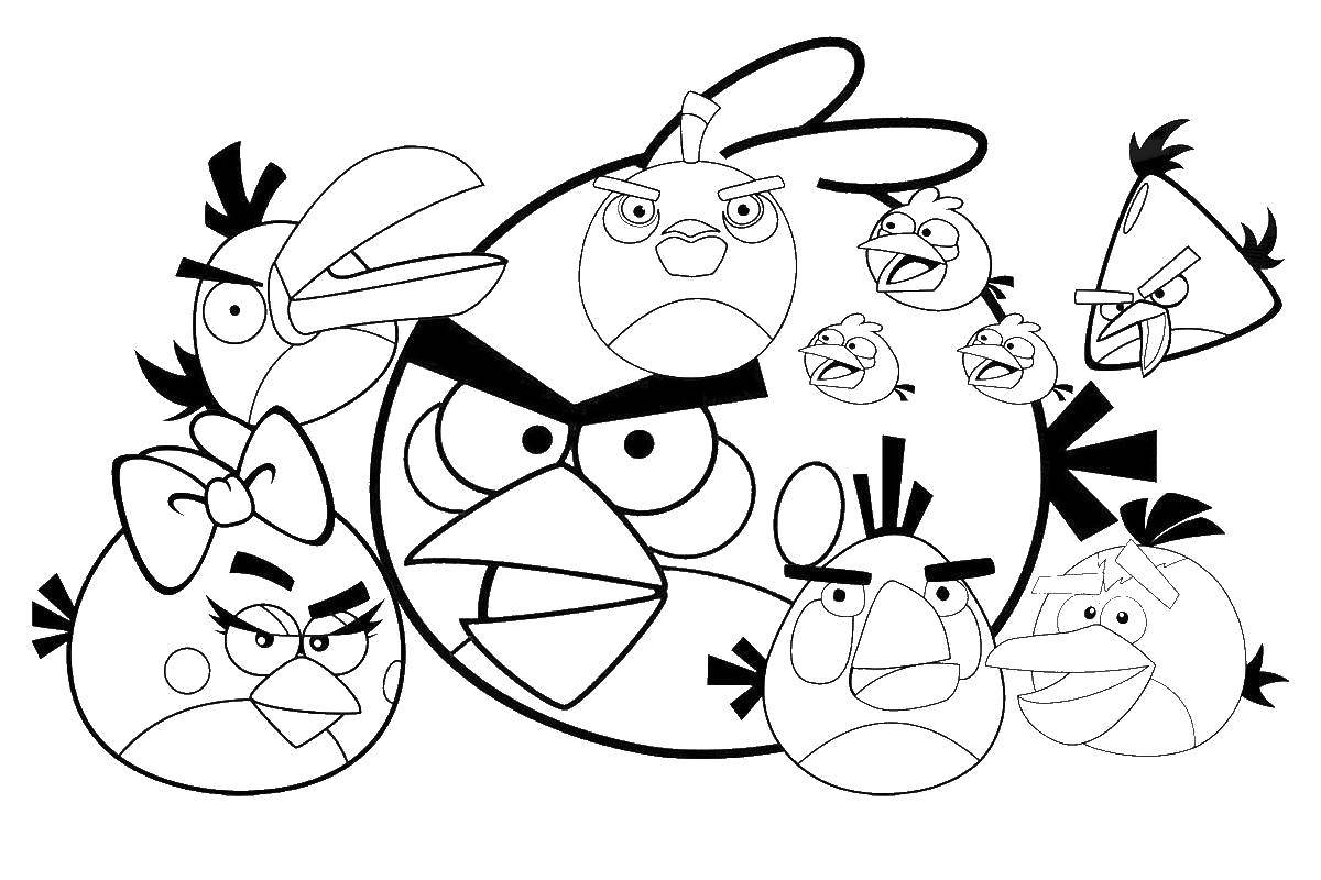 Название: Раскраска Птичка из angry birds . Категория: Персонаж из игры. Теги: Игры, Angry Birds .