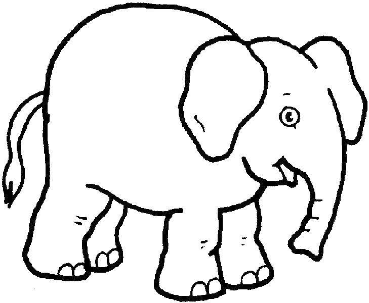 Название: Раскраска Слоник. Категория: Животные. Теги: Животные, слоненок.
