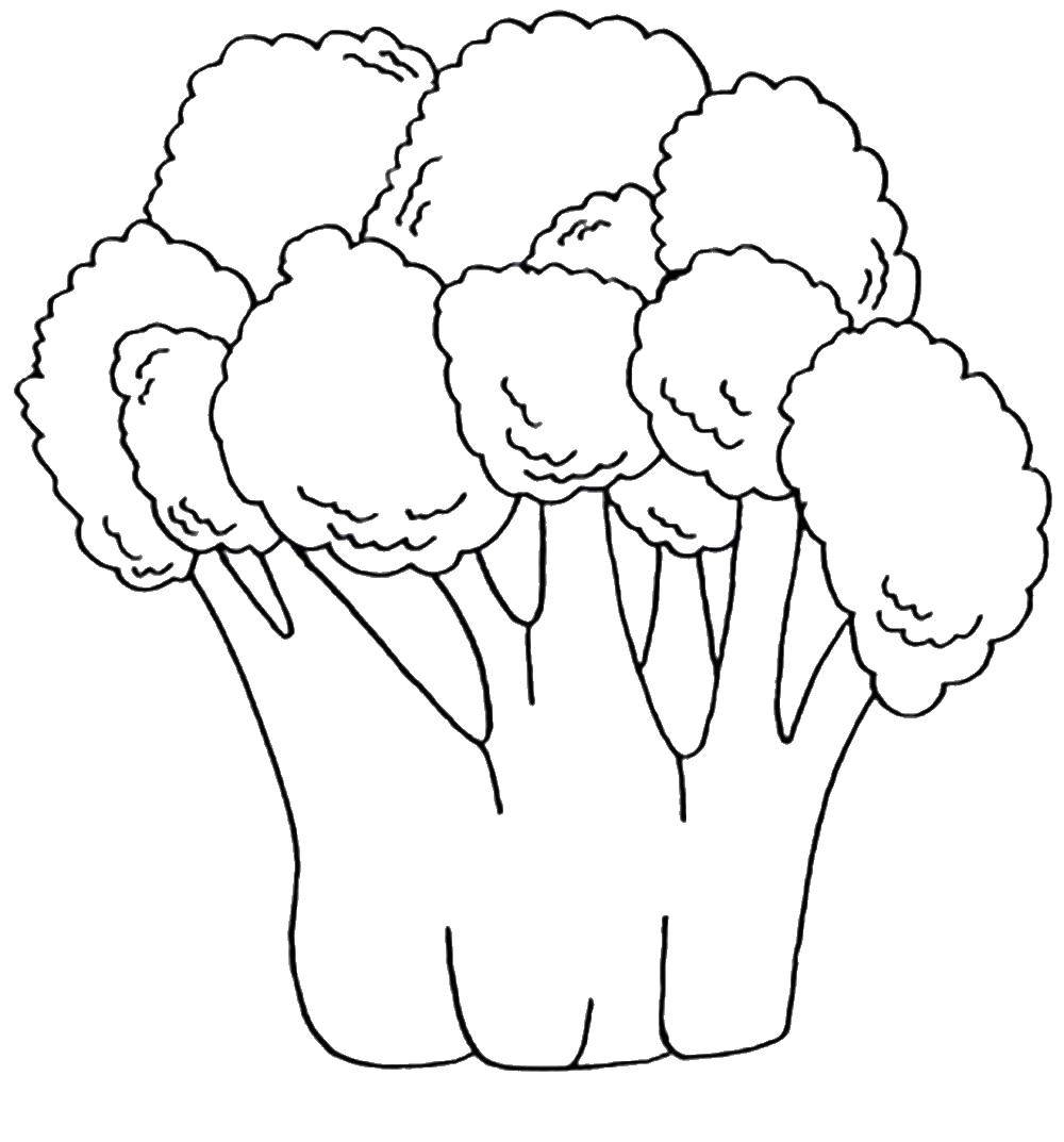 Coloring Broccoli. Category Vegetables in English. Tags:  English, vegetables.