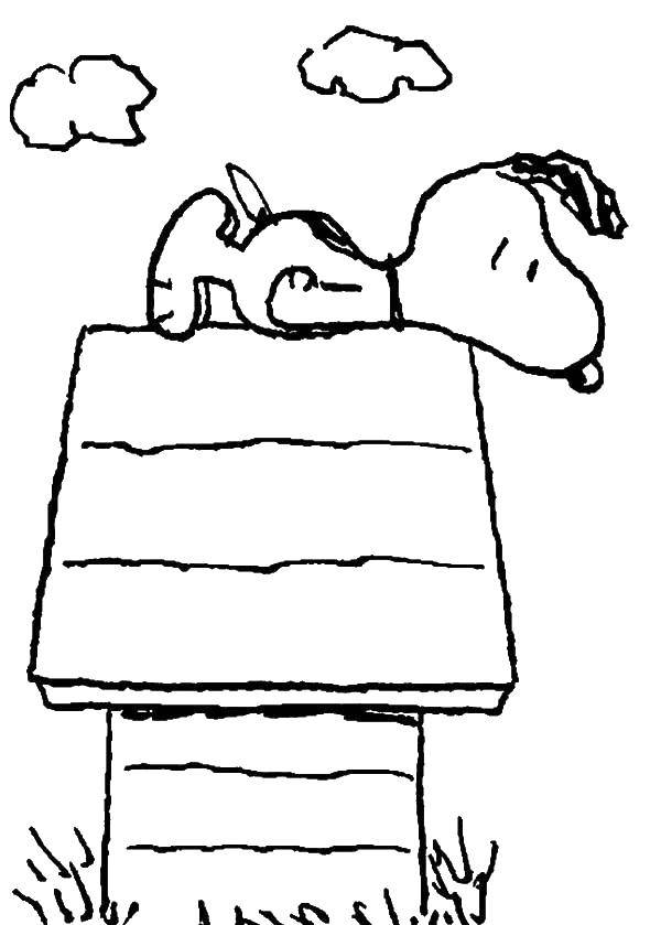 Название: Раскраска Снуппи на будке. Категория: Собака и будка. Теги: Животные, собака.