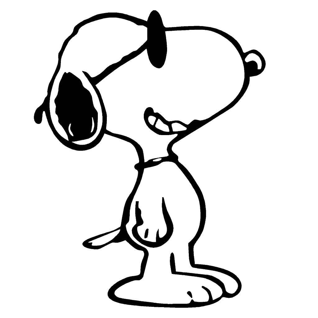 Coloring Snappy. Category Cartoon character. Tags:  Animals, dog.