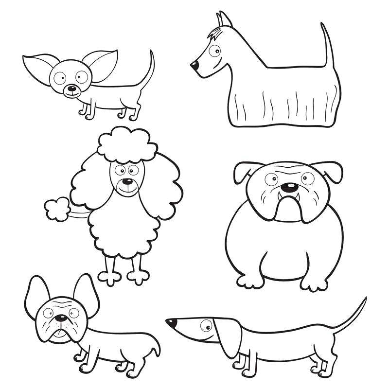 Coloring Dog breeds. Category Animals. Tags:  Animals, dog.