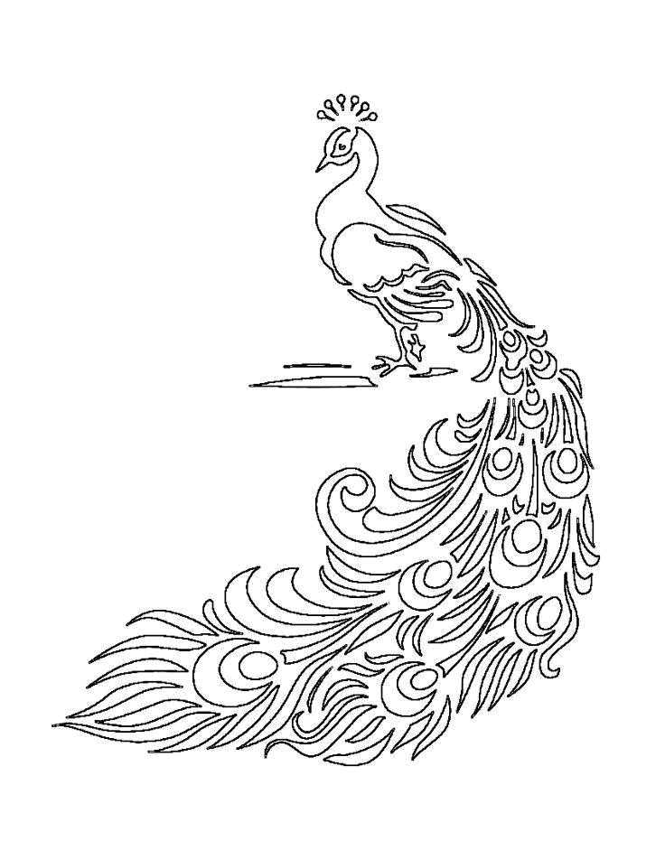 Coloring Peacock with long tail. Category The contours for cutting out the birds. Tags:  peacock, birds.