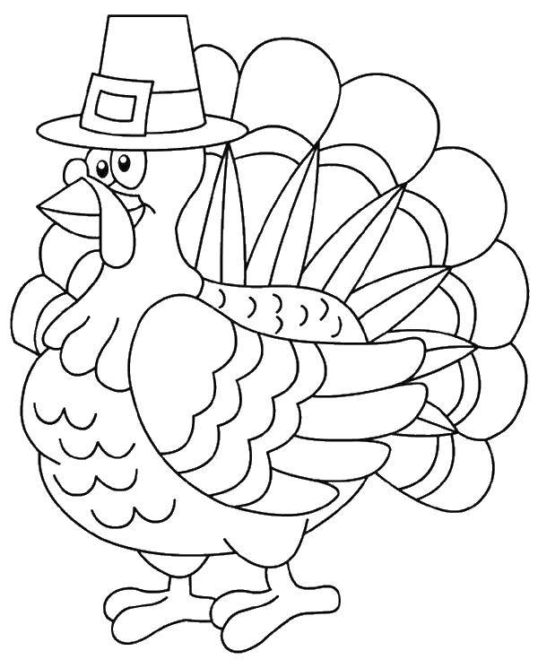 Coloring Turkey. Category birds. Tags:  Poultry, Turkey.