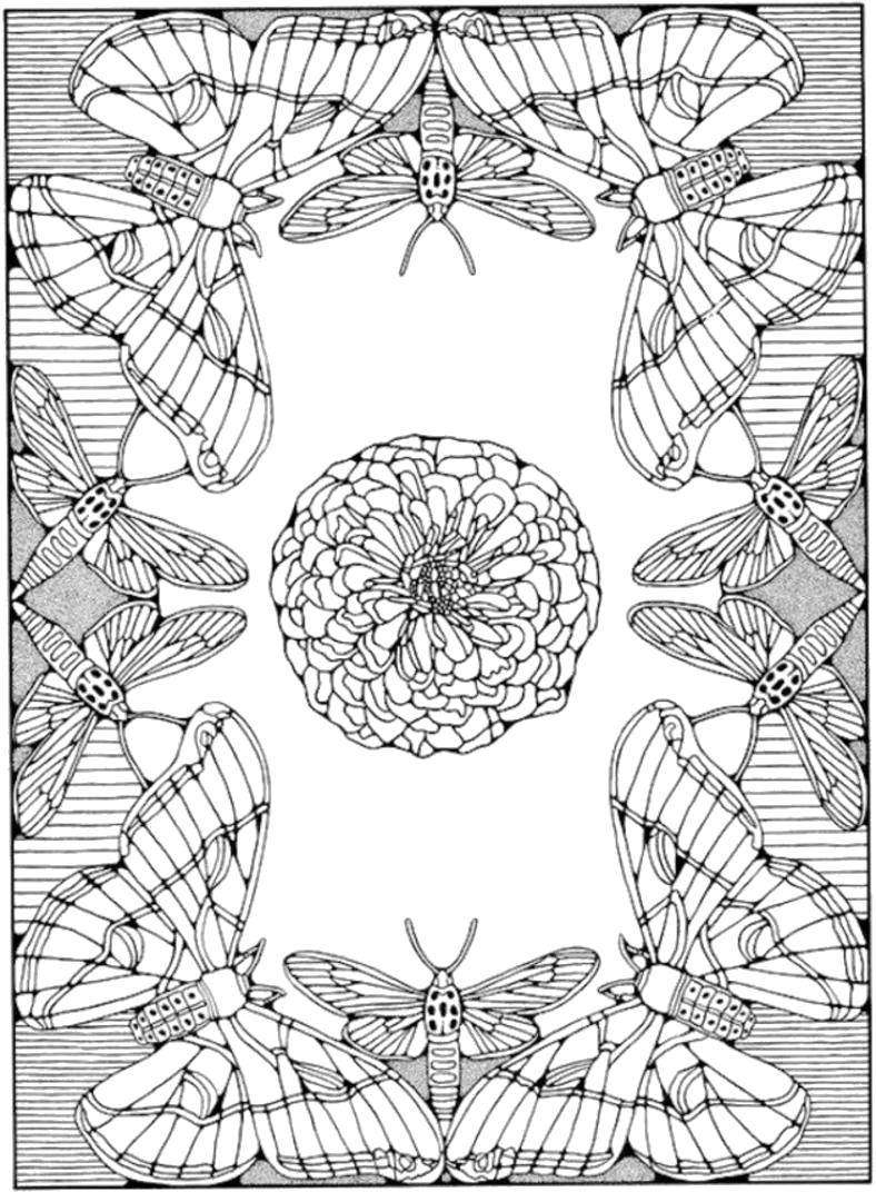 Название: Раскраска Стрекозы и бабочки вокруг цветка. Категория: Насекомые. Теги: Насекомые, бабочка, стрекоза.
