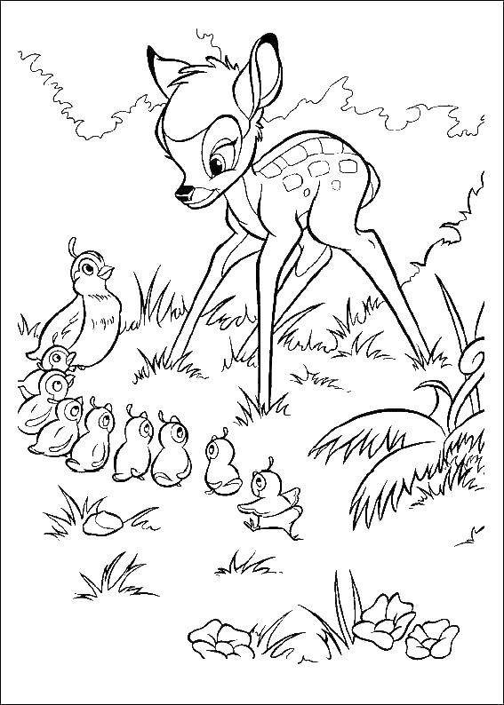Coloring The deer Bambi. Category Disney coloring pages. Tags:  Disney, deer, Bambi.
