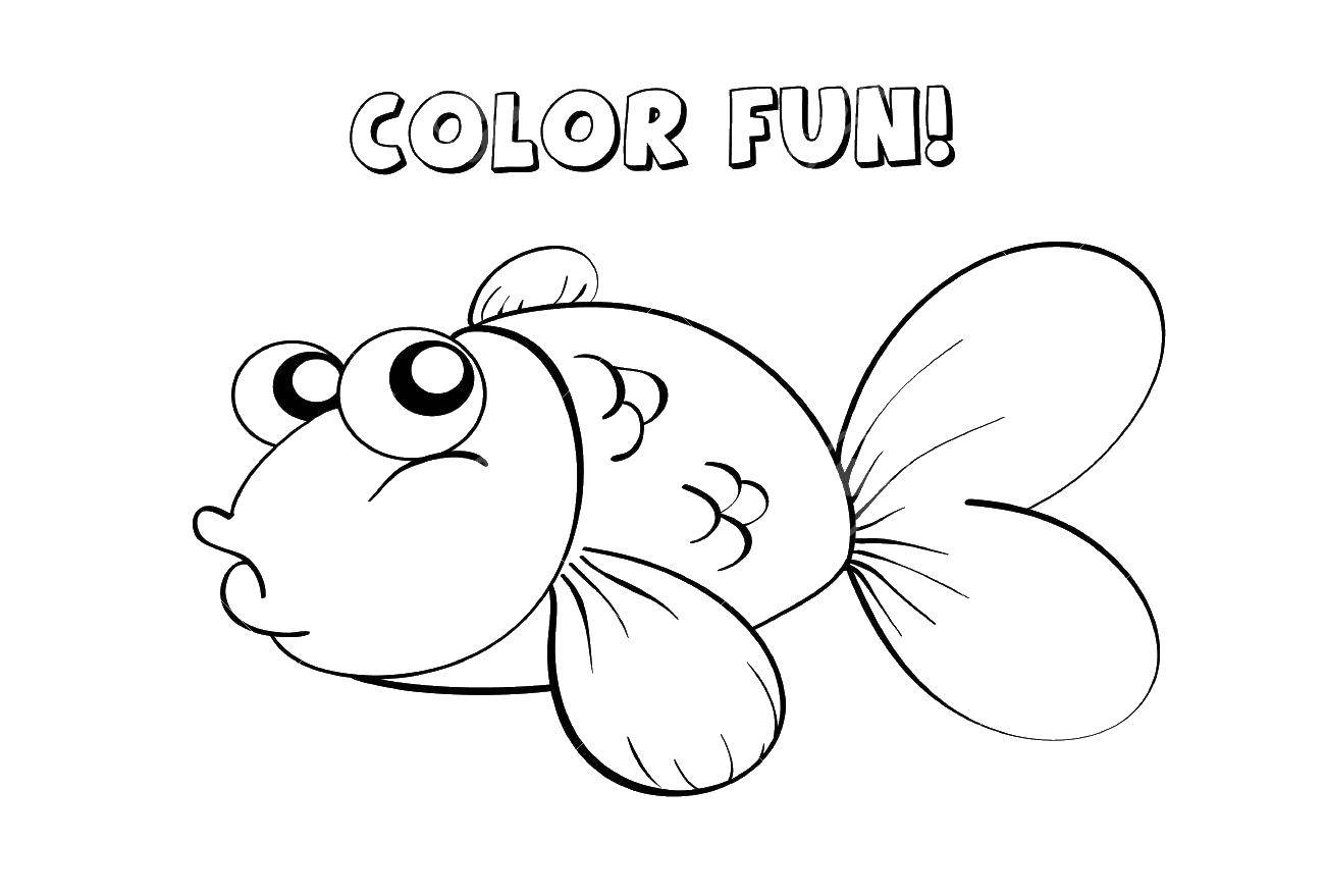 Coloring Paint a fish. Category fish. Tags:  Underwater world, fish.