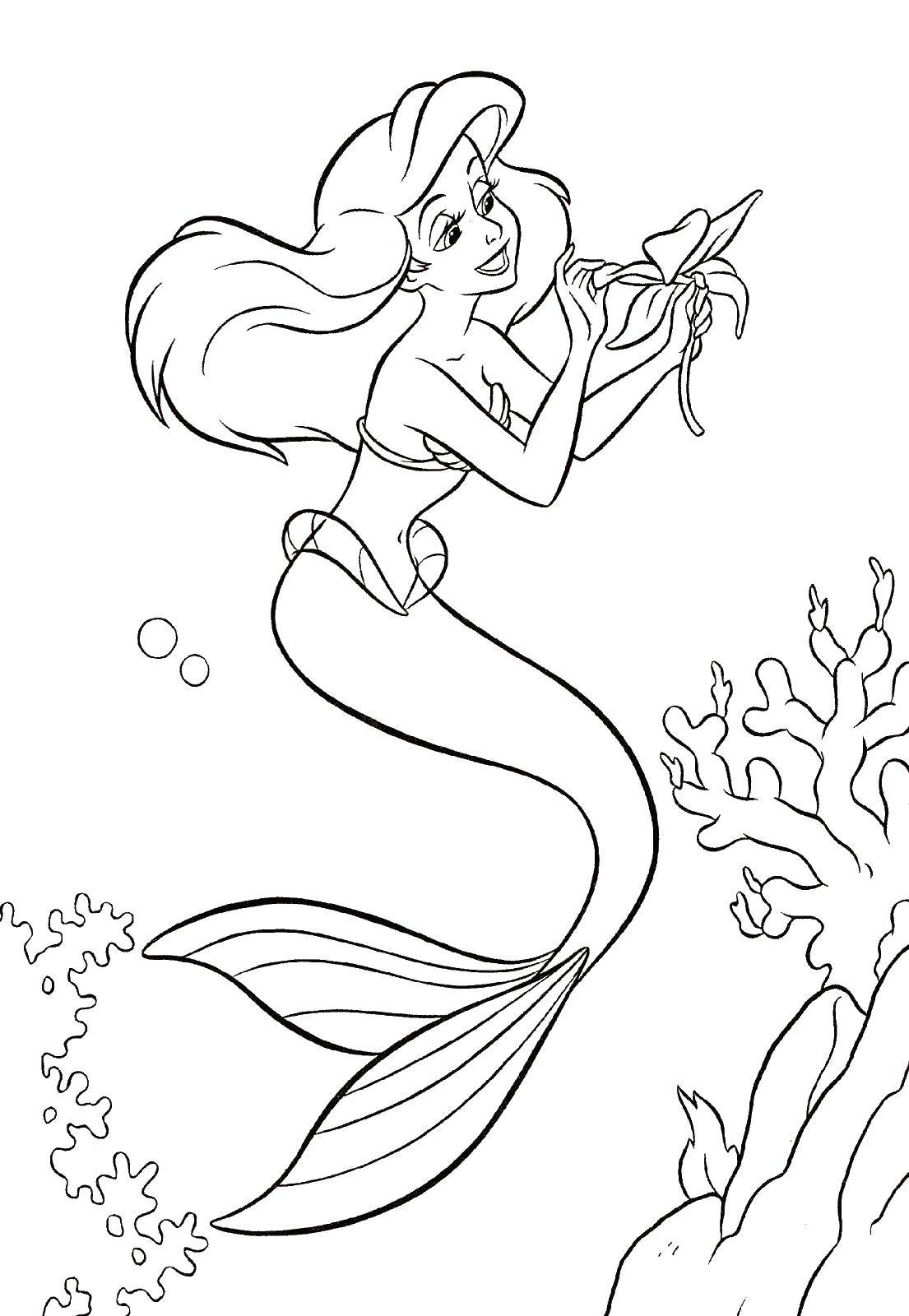 Coloring Ariel with flower. Category cartoons. Tags:  Disney, the little mermaid, Ariel.