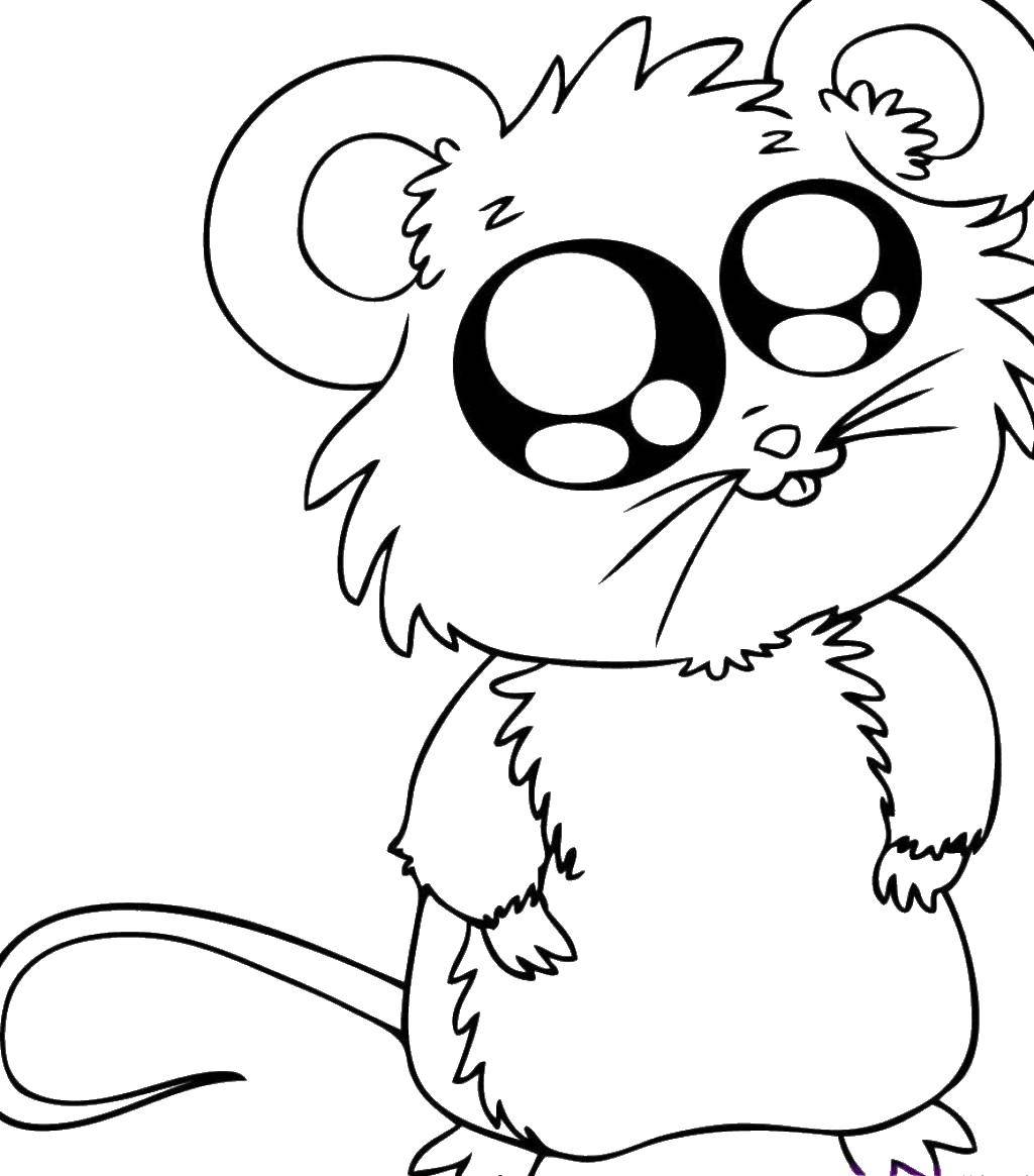 Coloring Big-eyed mouse. Category Animals. Tags:  Animals, mouse.
