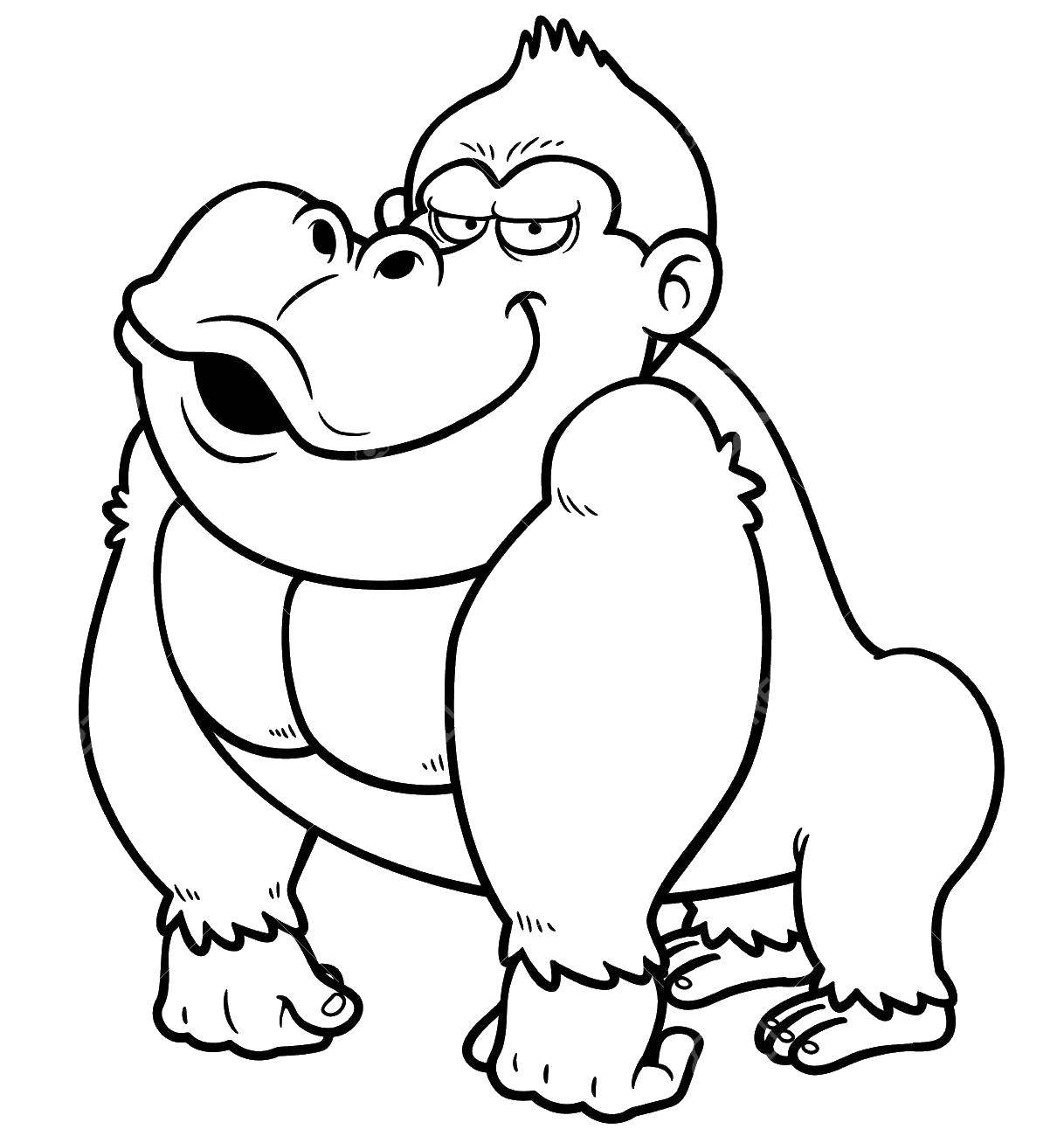 Coloring Gorilla. Category Animals. Tags:  Animals, monkey.