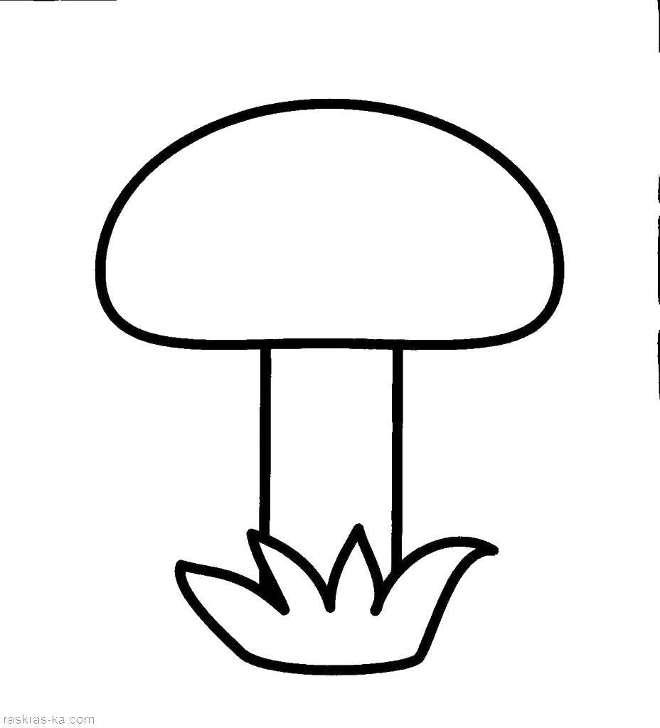 Coloring Mushroom. Category mushrooms. Tags:  fungus.