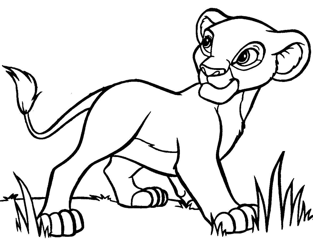 Coloring Lion. Category cartoons. Tags:  Disney, Lion King.