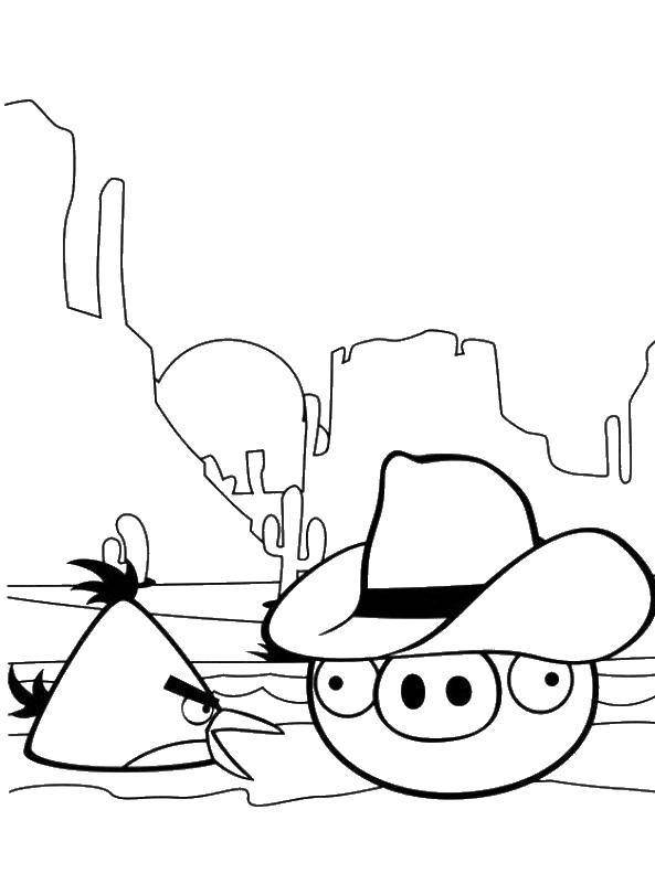 Coloring A bird and a pig from angry birds . Category angry birds. Tags:  Games, Angry Birds .