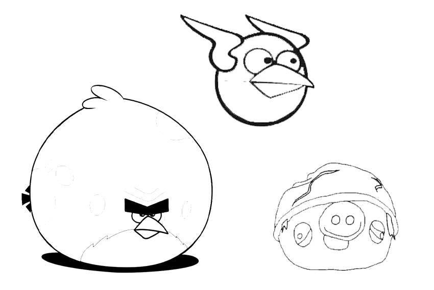 Coloring The bird hit the pig from angry birds . Category angry birds. Tags:  Games, Angry Birds .