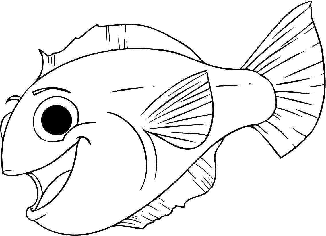 Coloring Happy fish. Category fish. Tags:  Fish, water.