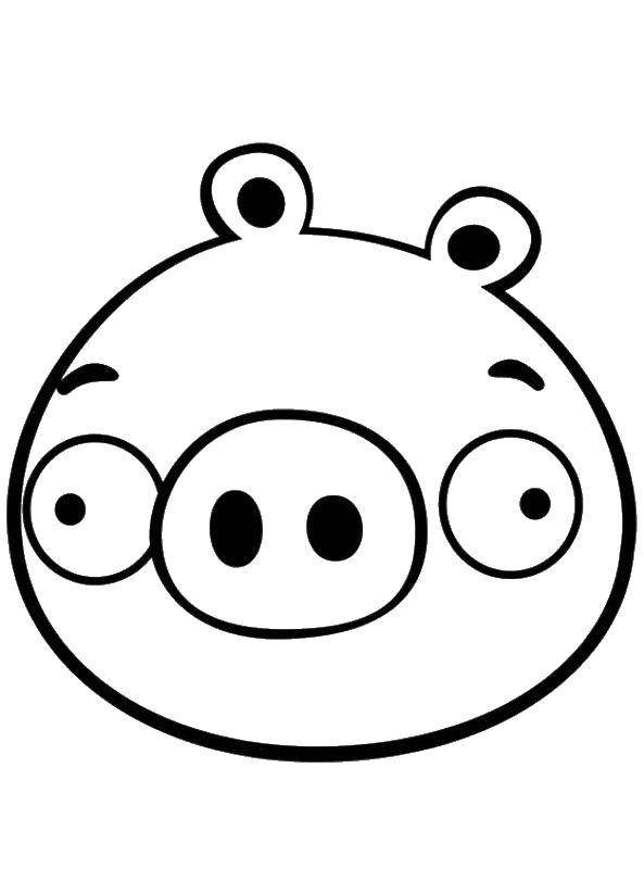Coloring Pig from angry birds. Category angry birds. Tags:  Games, Angry Birds .